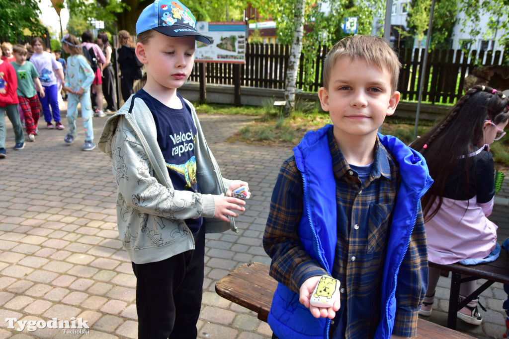 Tuchoski Park Krajobrazowy: Happening na cześć pszczół i niezapominajek