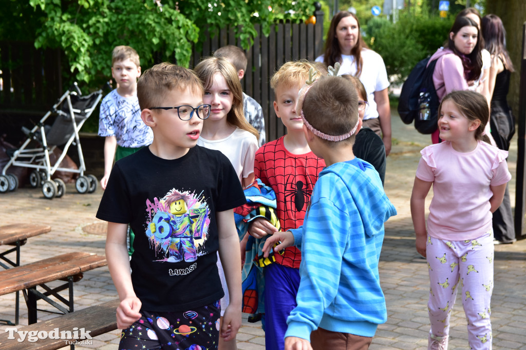 Tuchoski Park Krajobrazowy: Happening na cześć pszczół i niezapominajek