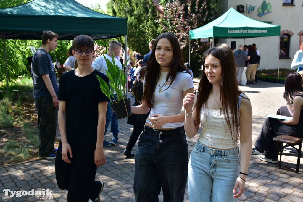 Tuchoski Park Krajobrazowy: Happening na cześć pszczół i niezapominajek