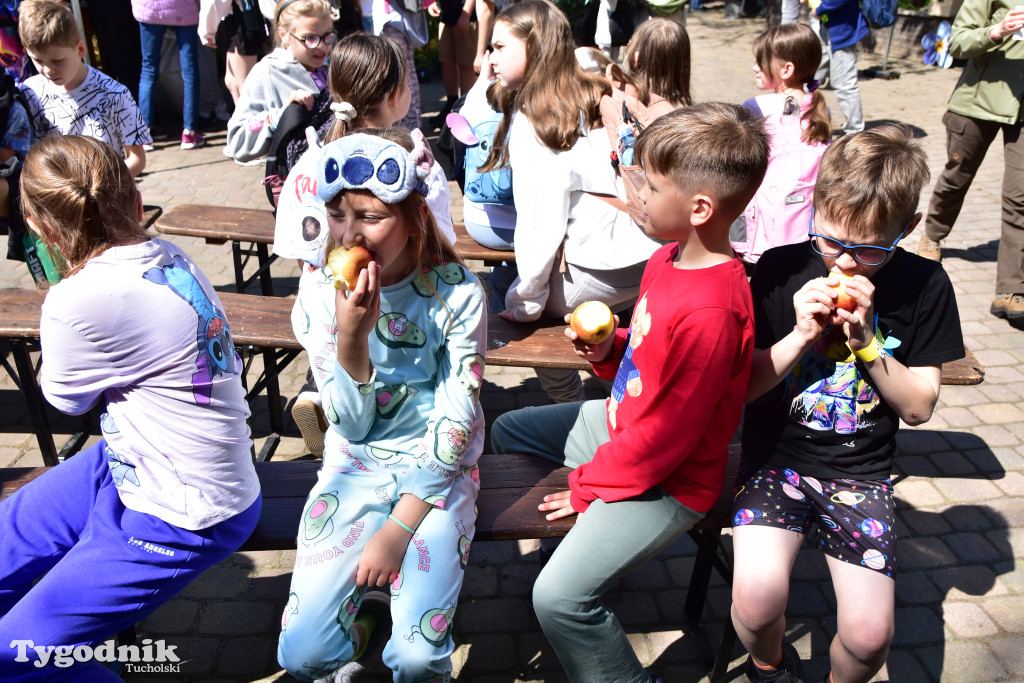 Tuchoski Park Krajobrazowy: Happening na cześć pszczół i niezapominajek