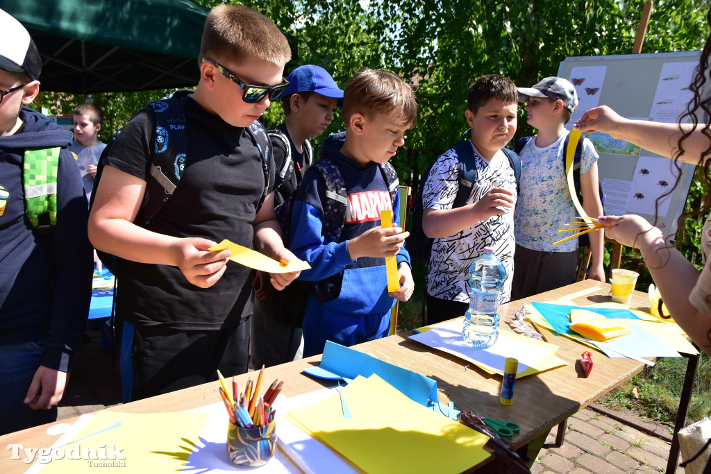 Tuchoski Park Krajobrazowy: Happening na cześć pszczół i niezapominajek