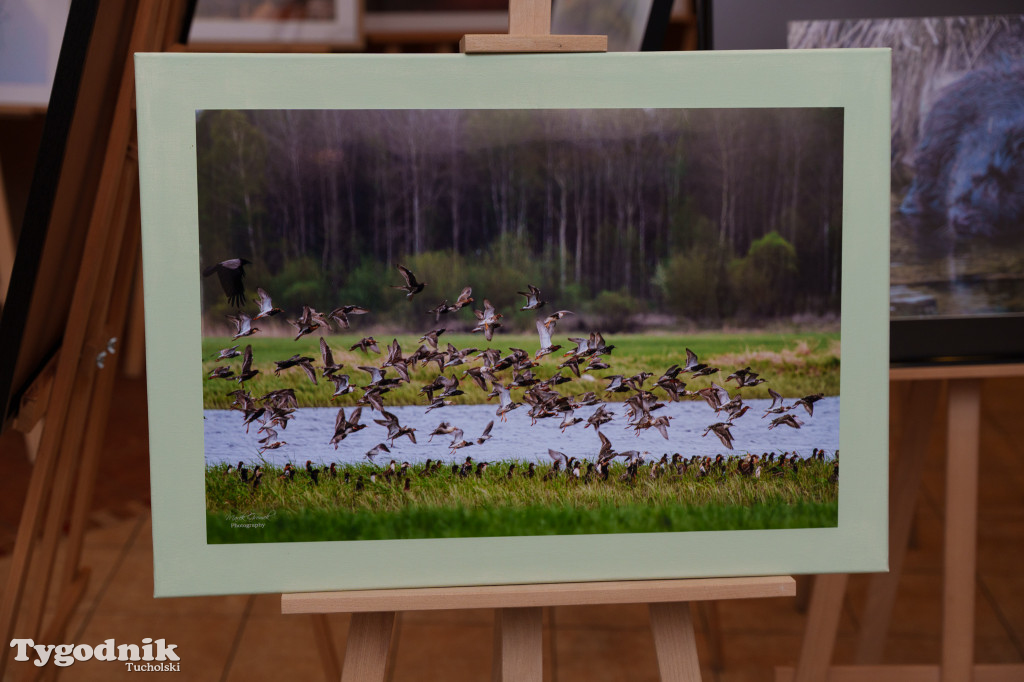 Marek Gromek - wystawa fotografii przyrodniczej