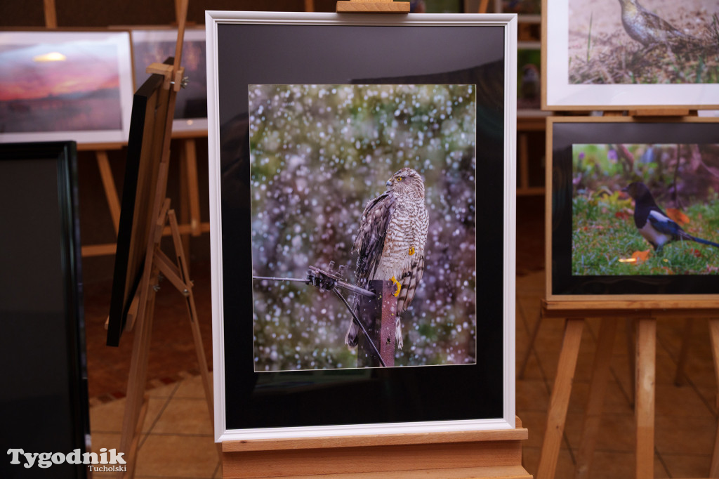 Marek Gromek - wystawa fotografii przyrodniczej