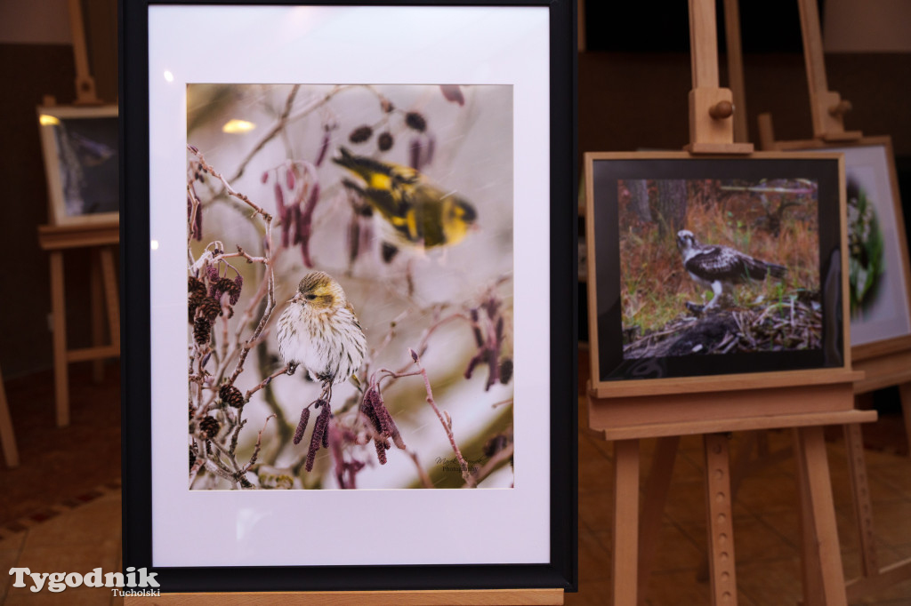 Marek Gromek - wystawa fotografii przyrodniczej