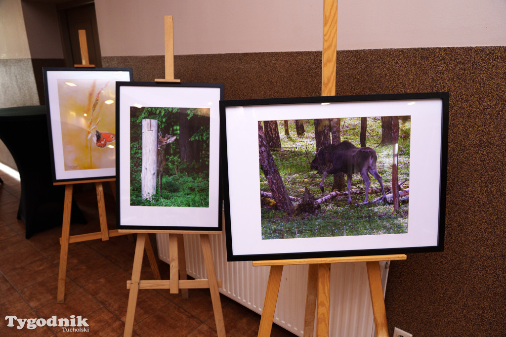 Marek Gromek - wystawa fotografii przyrodniczej