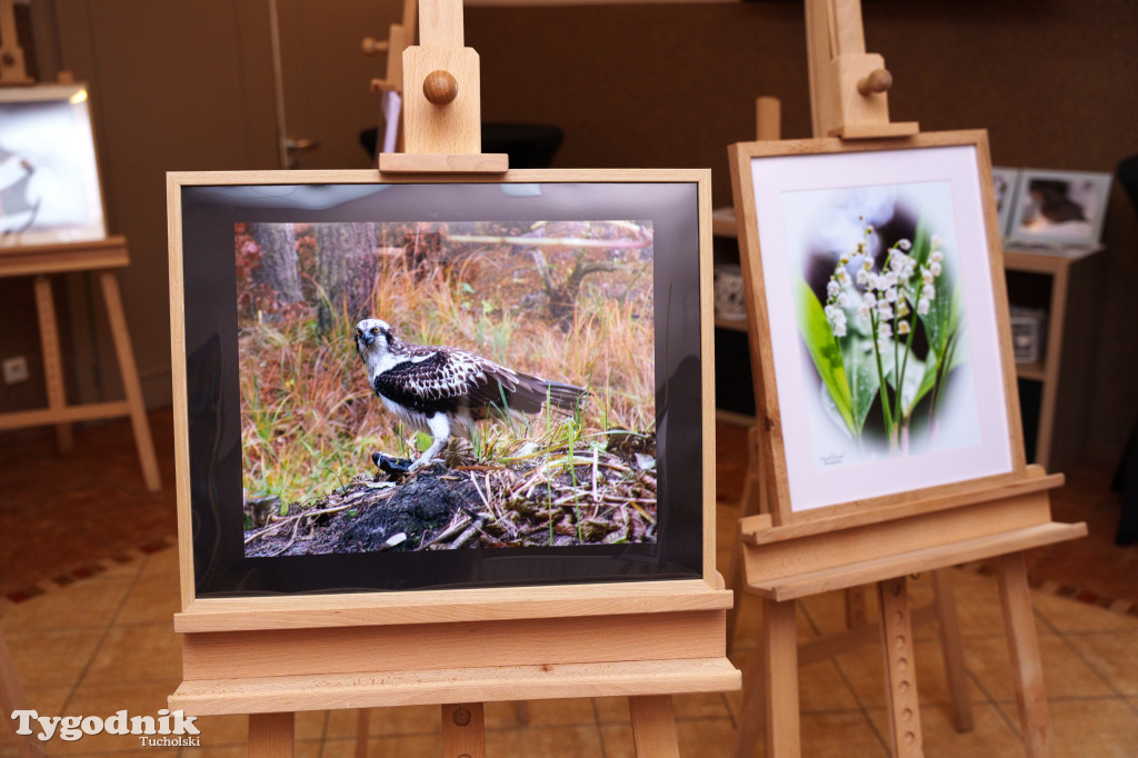 Marek Gromek - wystawa fotografii przyrodniczej