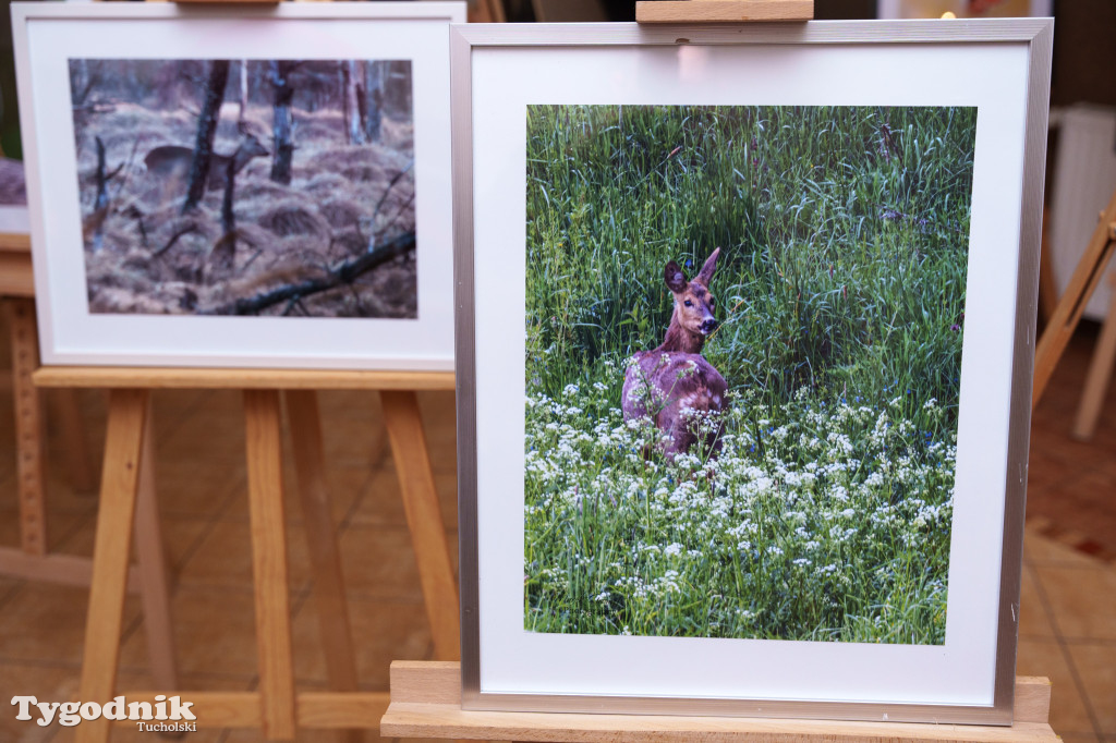 Marek Gromek - wystawa fotografii przyrodniczej