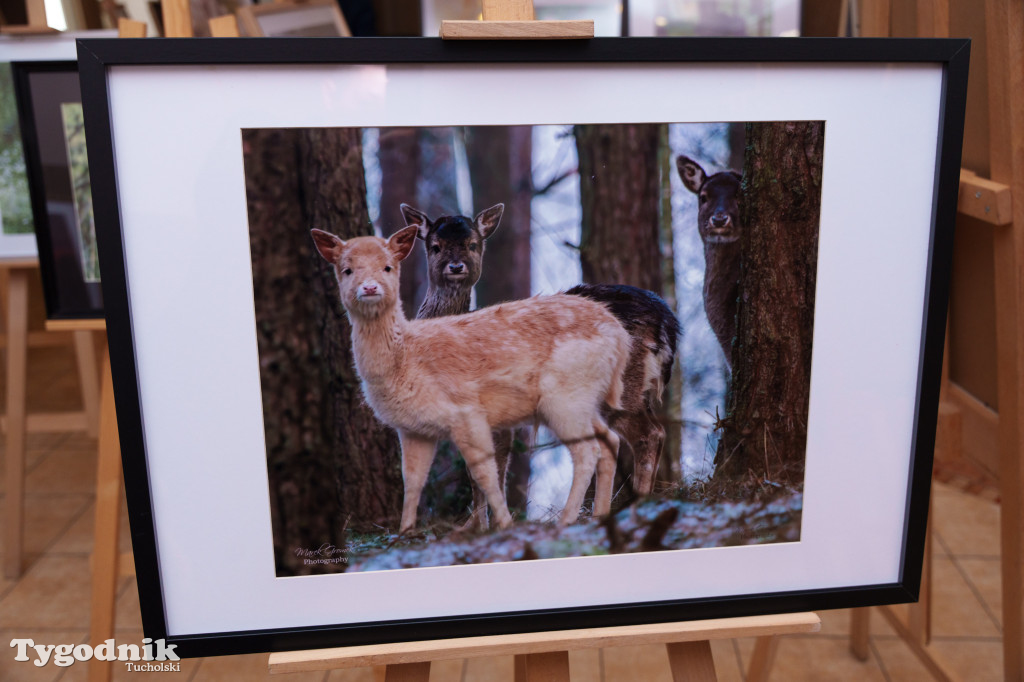 Marek Gromek - wystawa fotografii przyrodniczej
