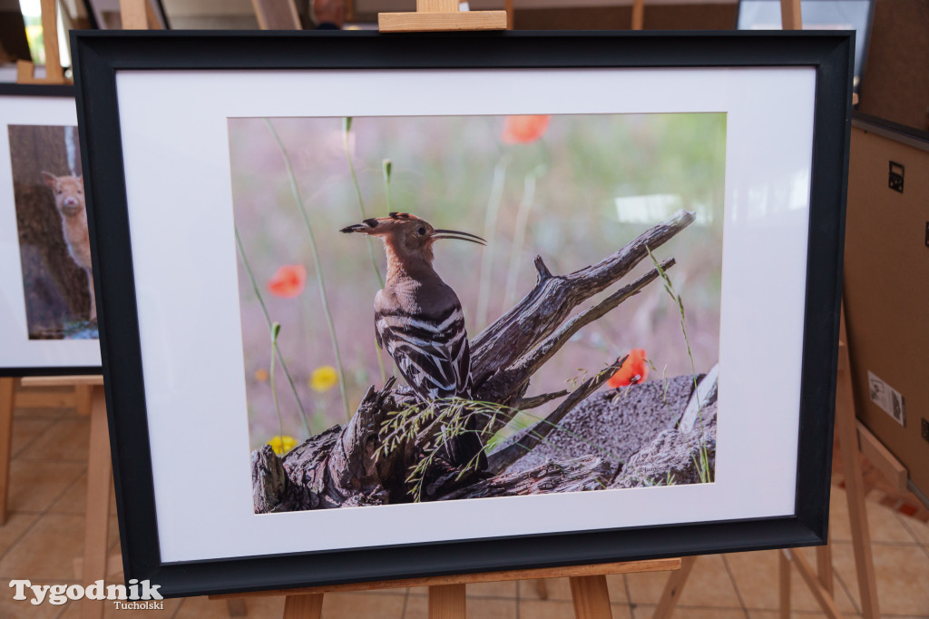 Marek Gromek - wystawa fotografii przyrodniczej