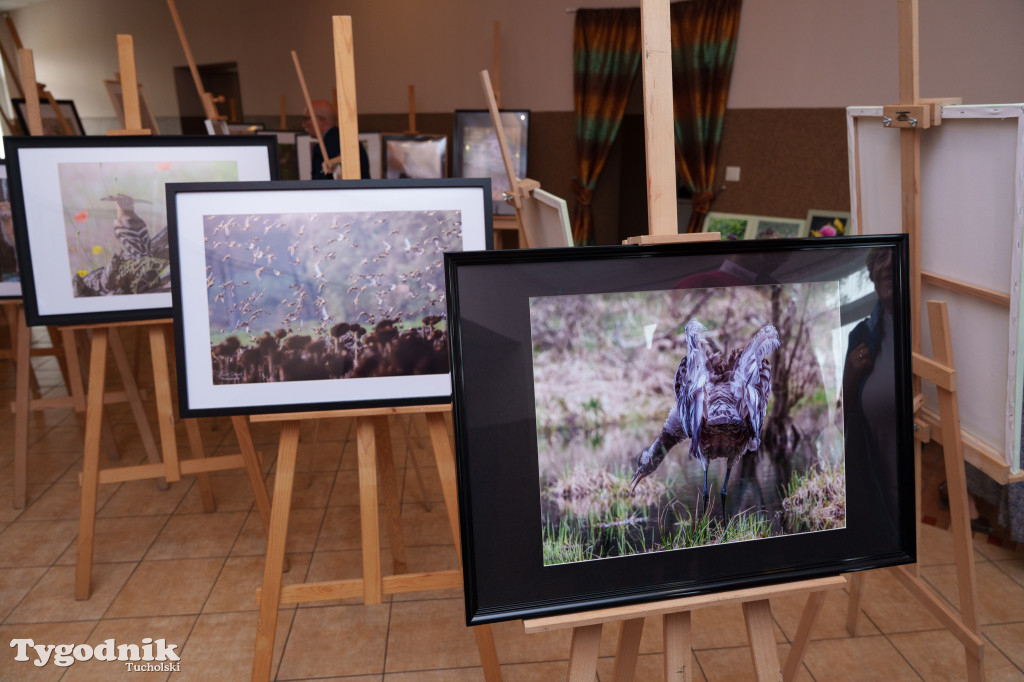 Marek Gromek - wystawa fotografii przyrodniczej