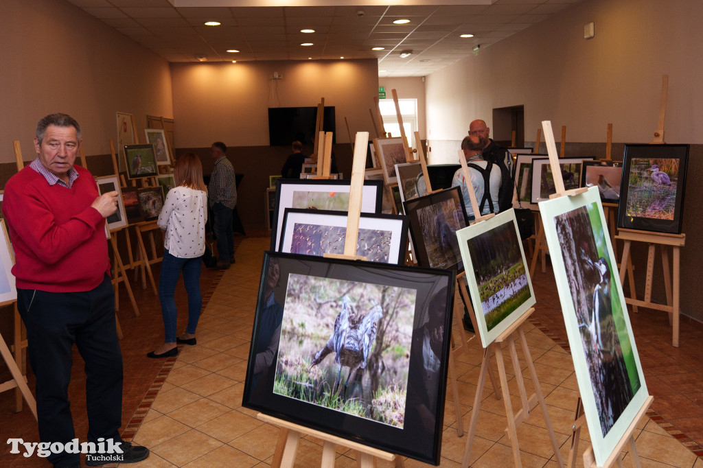 Marek Gromek - wystawa fotografii przyrodniczej