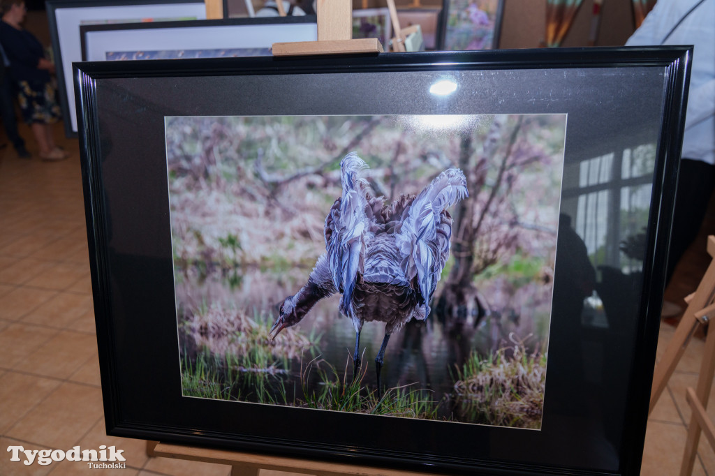 Marek Gromek - wystawa fotografii przyrodniczej