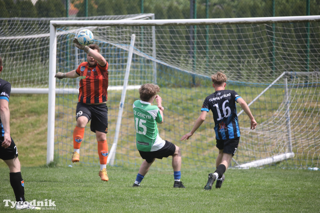 Klasa B: Cis Cekcyn - Olimpia Wtelno 3:0 (2:0)