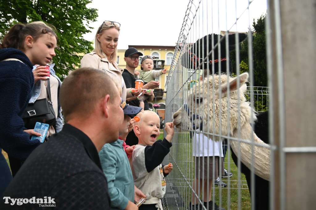 Dzień Dziecka w Tucholi i spotkanie z piosenką dziecięcą
