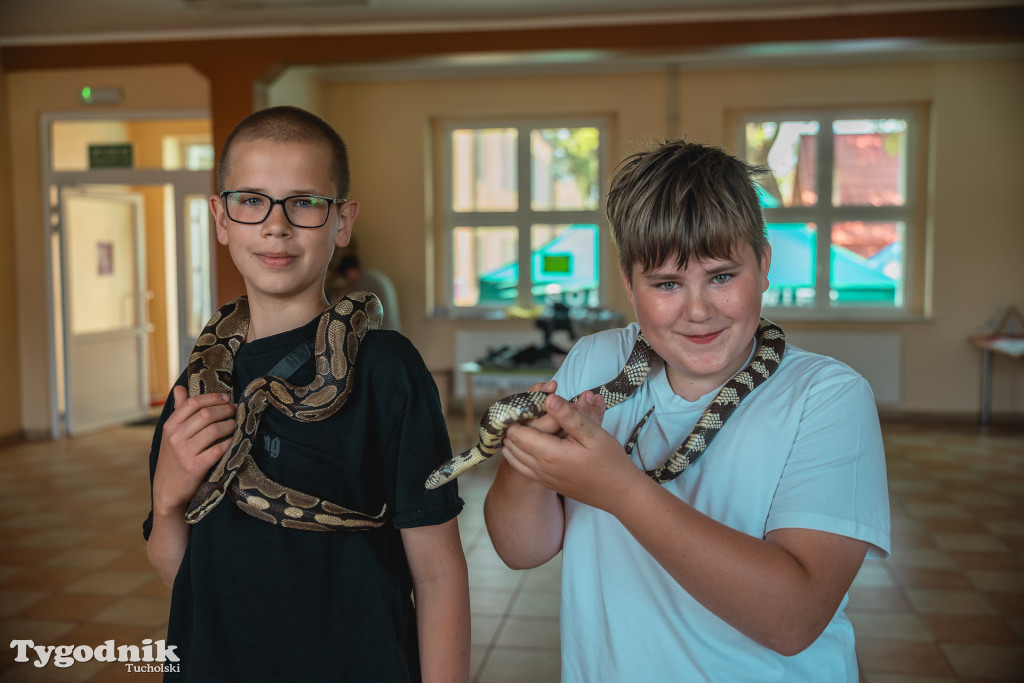 Iwiec się bawi! Dzień rodziny i... escape room w szkole