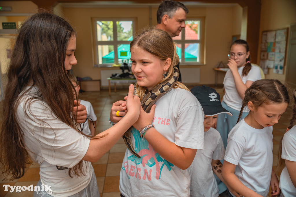 Iwiec się bawi! Dzień rodziny i... escape room w szkole