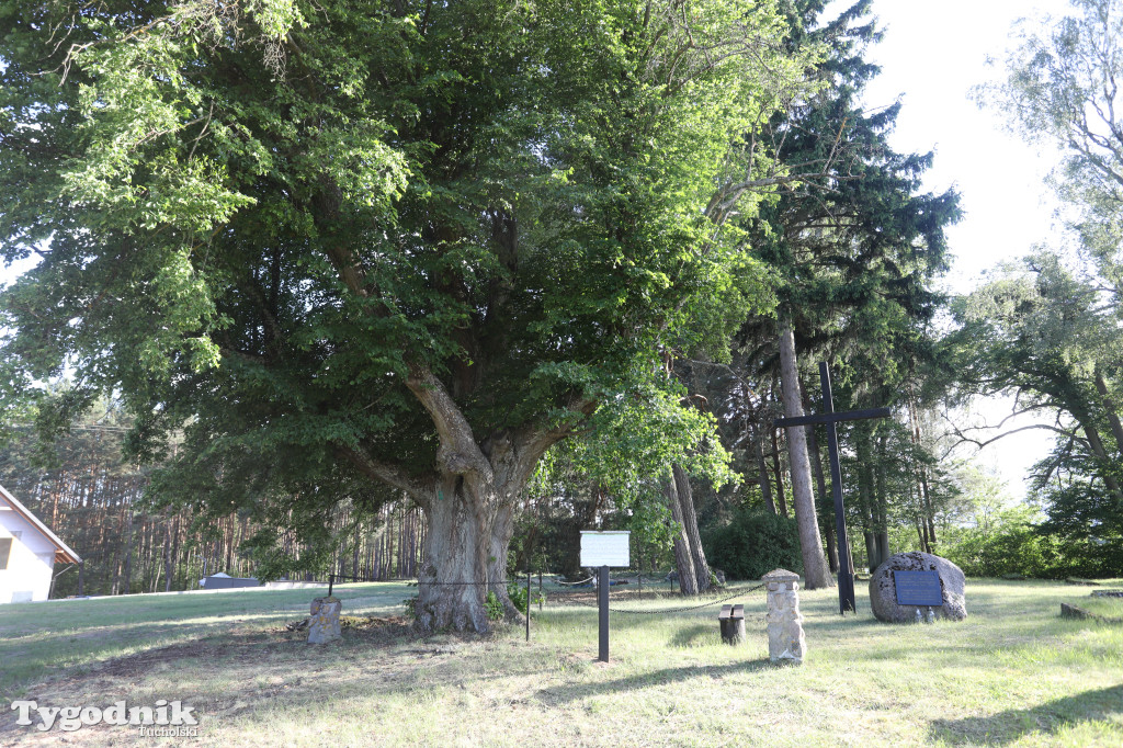 Stowarzyszenie 