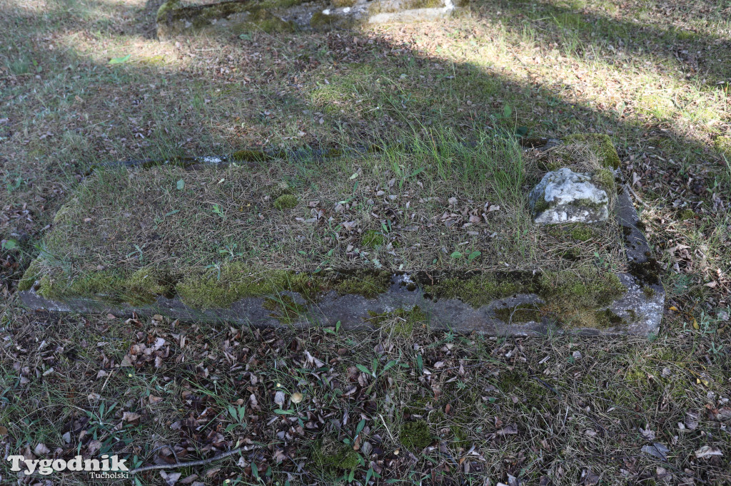 Stowarzyszenie 