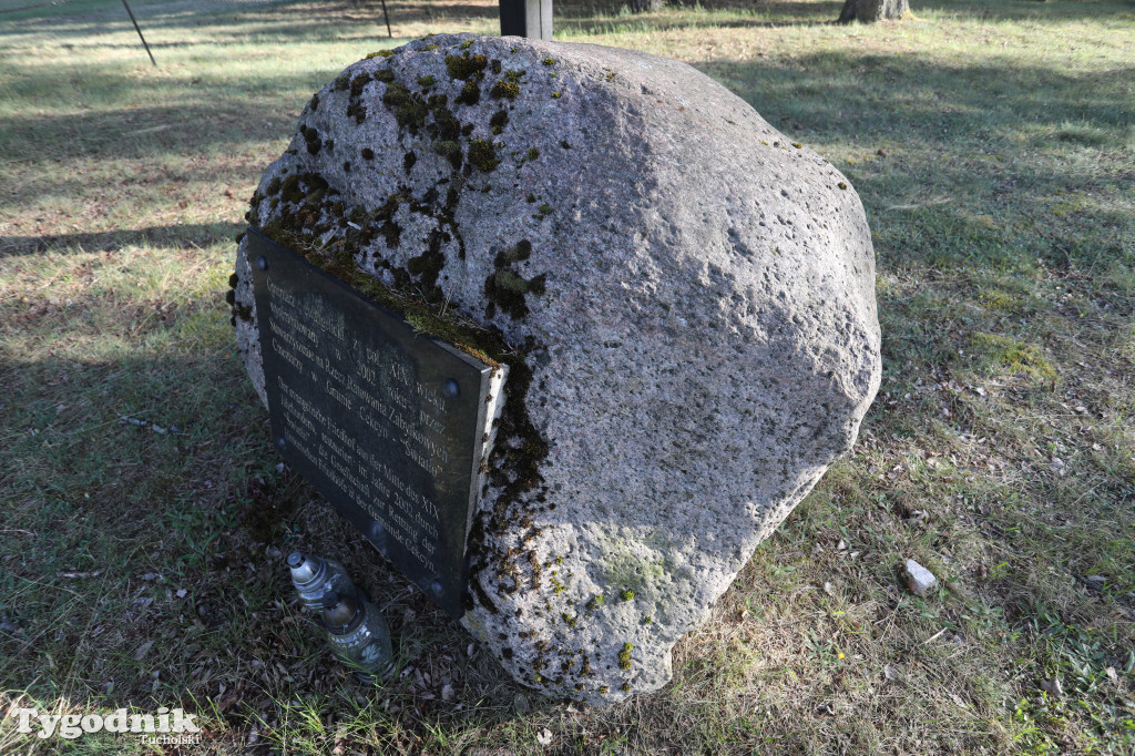 Stowarzyszenie 