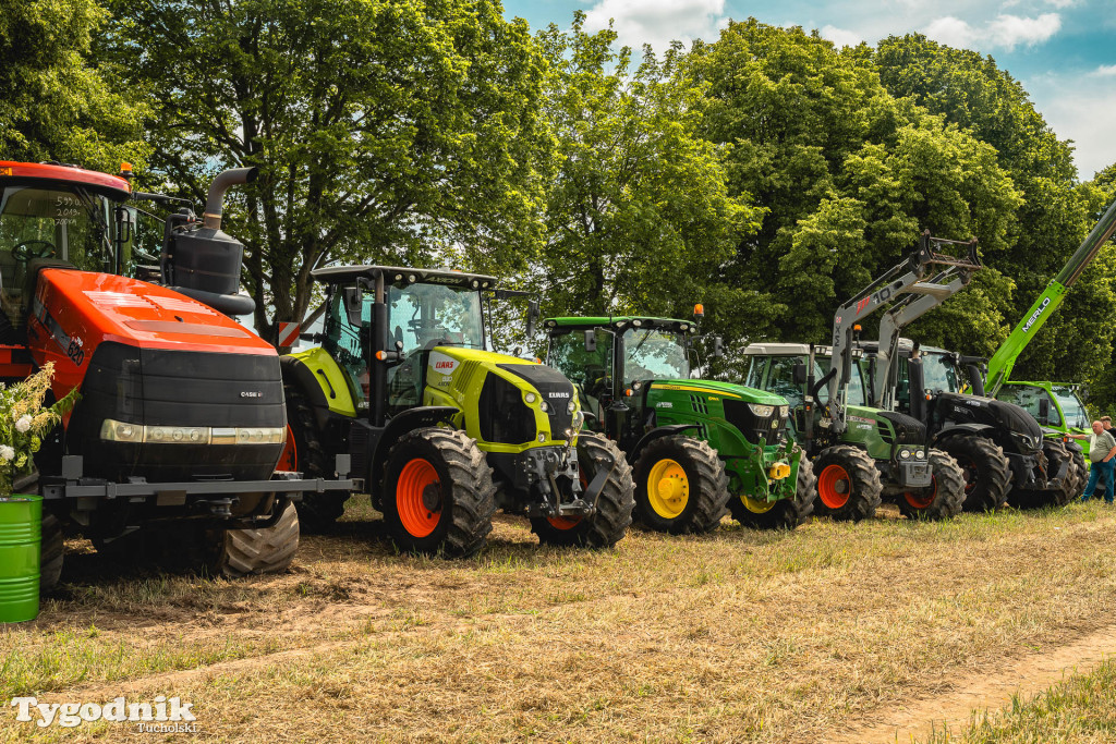 Demo Farma u Michała Nowackiego