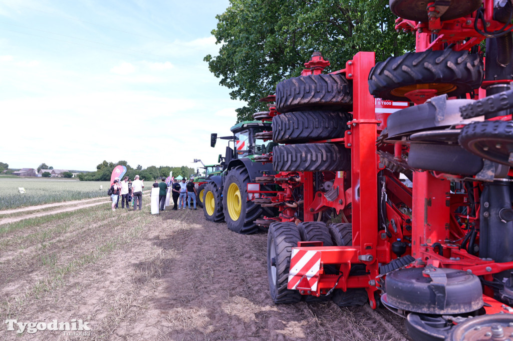 Demo Farma u Michała Nowackiego