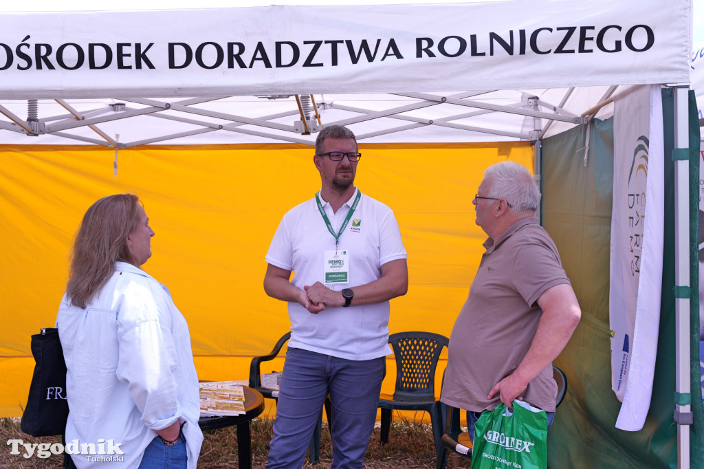 Demo Farma u Michała Nowackiego