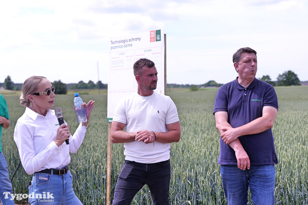 Demo Farma u Michała Nowackiego