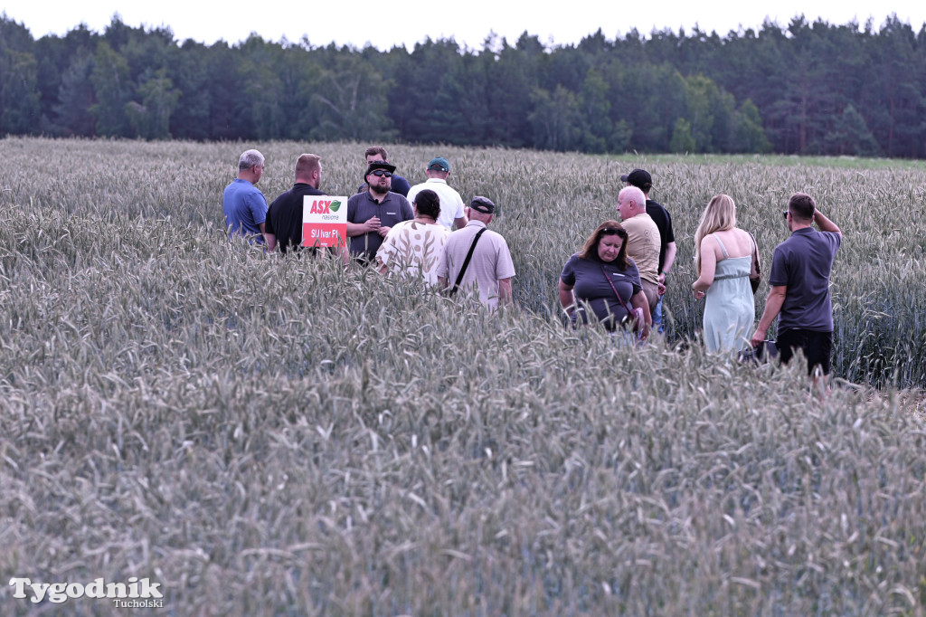 Demo Farma u Michała Nowackiego