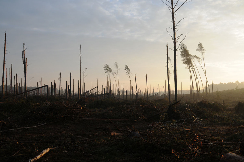 Rok po trąbie - ZDJĘCIA