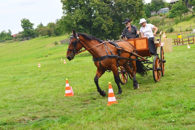 Dziki zachód w Śliwicach - ZDJĘCIA