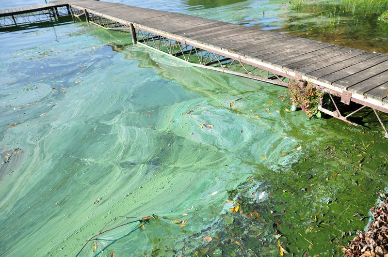 Tak wygląda Jezioro Wielkie Cekcyńskie - ZDJĘCIA
