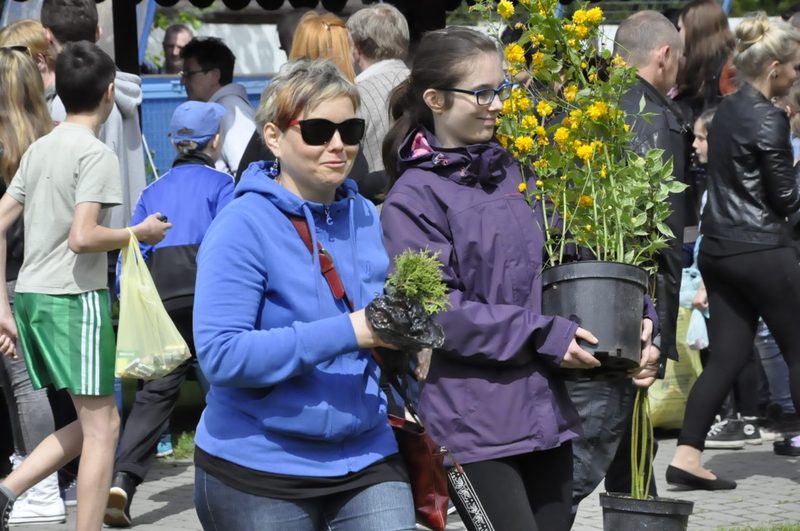 Tuchola: Rozdano 700 drzew i krzewów - ZDJĘCIA