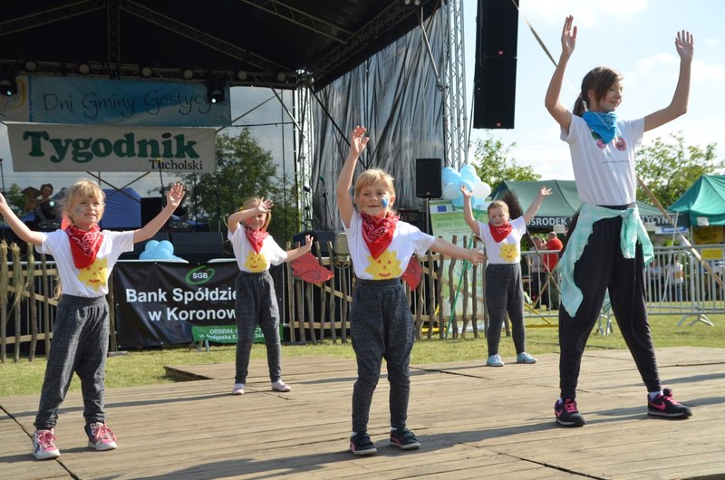Gostycyn: Dni Gminy Gostycyn - ZDJĘCIA cz. 1