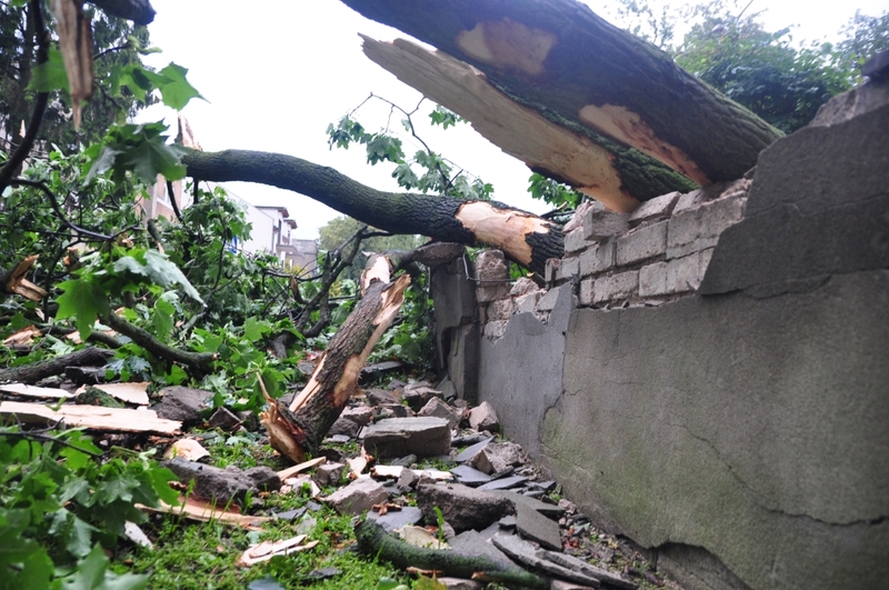 Burze nad Tucholą i okolicami - ZDJĘCIA