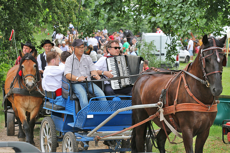 Śliwice: Konno i w rytmie cygańskich melodii - ZDJĘCIA