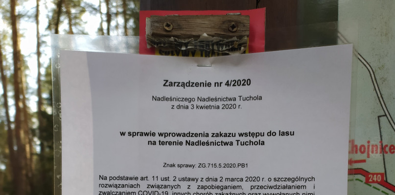 Przykład ogłoszenia, które pojawiło się w Nadleśnictwie Tuchola. Zakaz obejmuje cały kraj. Fot. nadesłane