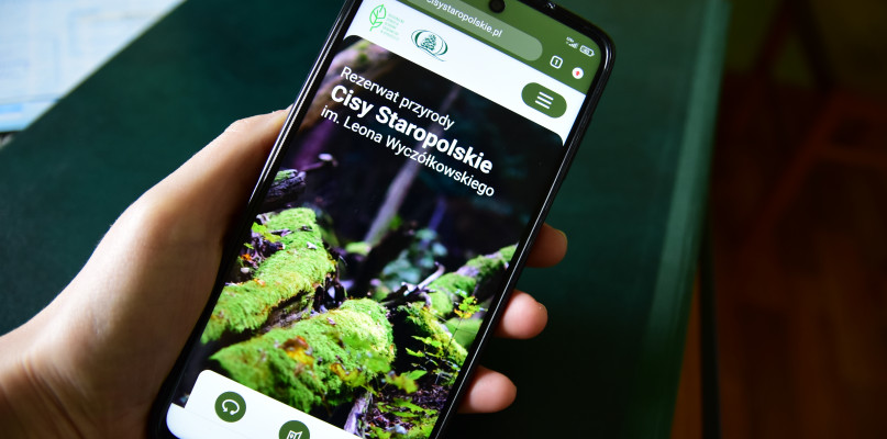 Rezerwat Cisy Staropolskie tylko online