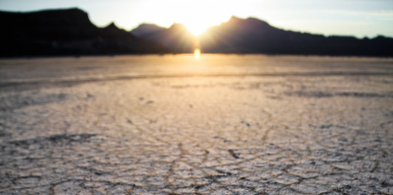 Fot. Patrick Hendry / Unsplash
