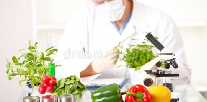 fot. https://pl.dreamstime.com