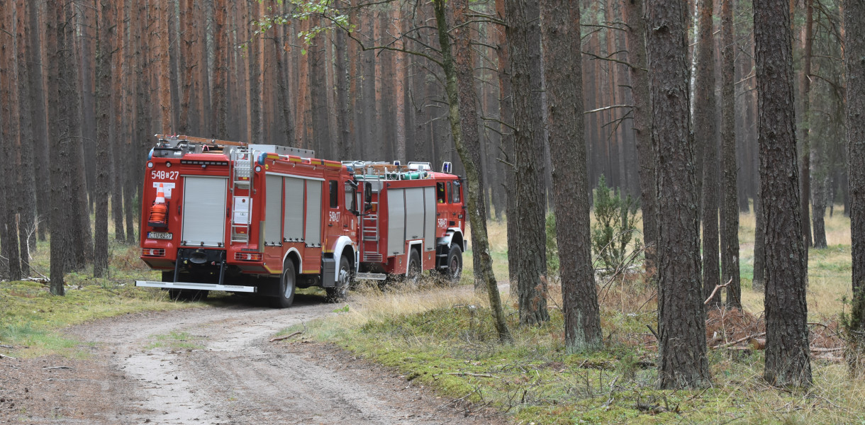 OFICJALNIE: Odnaleziony to 20-letni Mateusz. Badania potwierdziły