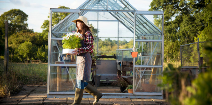 Jak zadbać o szklarnie ogrodowe po sezonie?