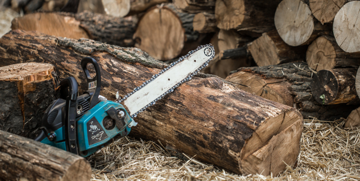Jak przycinać drzewka i krzewy? Obsługa piły łańcuchowej