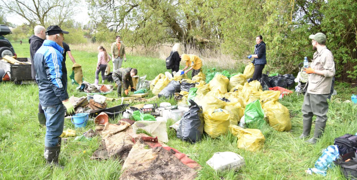 Kanapa, dziecięcy wózek, gruz z rozbiórki, połamane kafle, mnóstwo foli, szklanych i plastikowych butelek - to tylko część śmieci, które zalegały na Amzeju. 