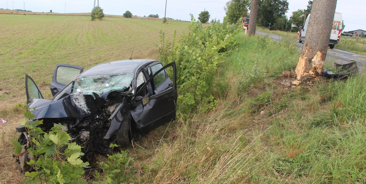 Po uderzeniu w drzewo peugeot wypadł z drogi i zatrzymał się na polu. Fot. KPP w Tucholi 