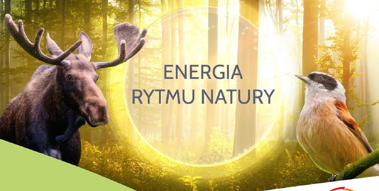PGE Polska Grupa Energetyczna