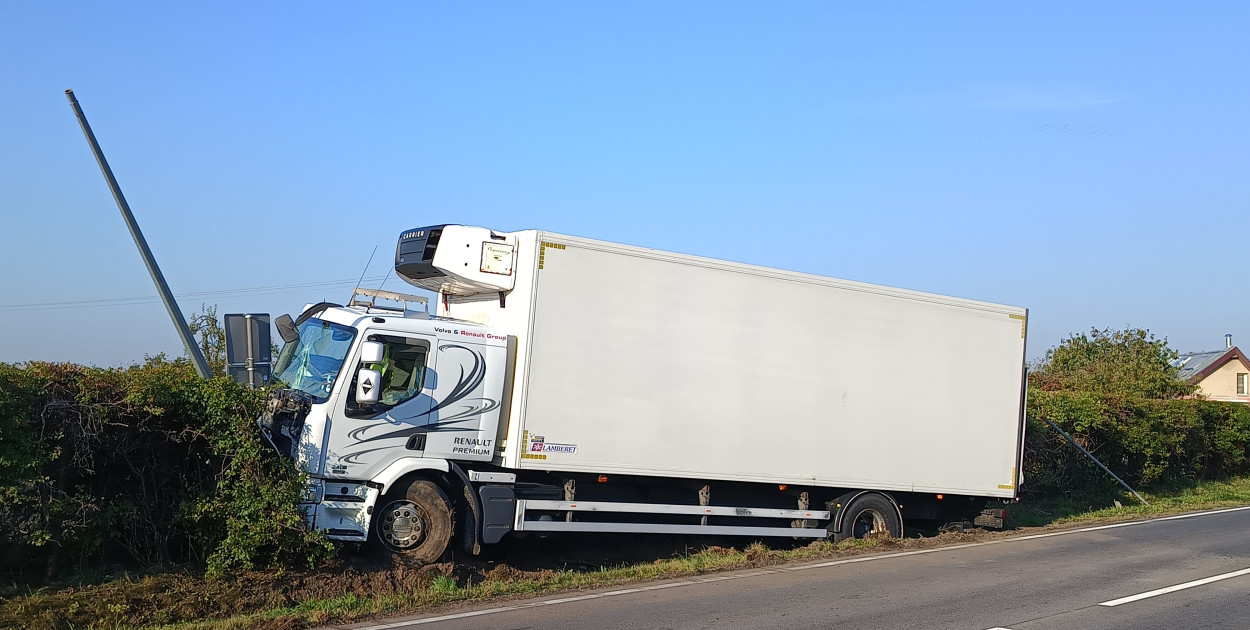 Ciężarówka praktycznie wbiła się w żywopłot, który oddziela parking należący do ogródków działkowych od DW nr 240. 