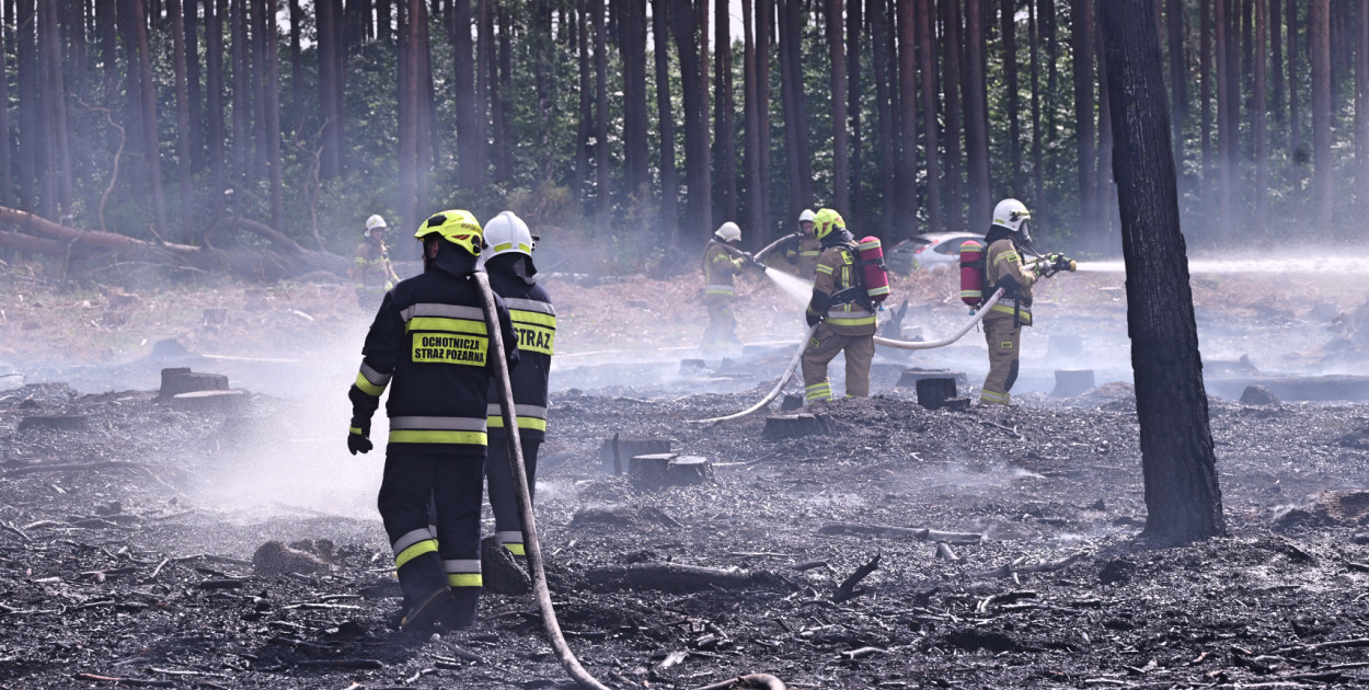 5000 m2 - Nadleśnictwo Tuchola podało, że  w Wymysłowie paliła się tak powierzchnia. Fot. Piotr Paterski