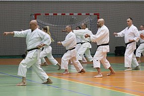 Karate: seminarium szkoleniowe z sensei Cerutim-4030