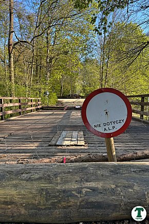 Kto odpowiada za uszkodzony most w Świcie?-4184