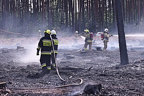 Wymysłowo - pożar w lesie. W akcji dromadery-4476